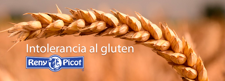 Intolerancia al gluten. ¿Conoces los síntomas del celiaco?