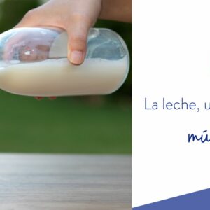 La leche, un superalimento que tiene múltiples beneficios